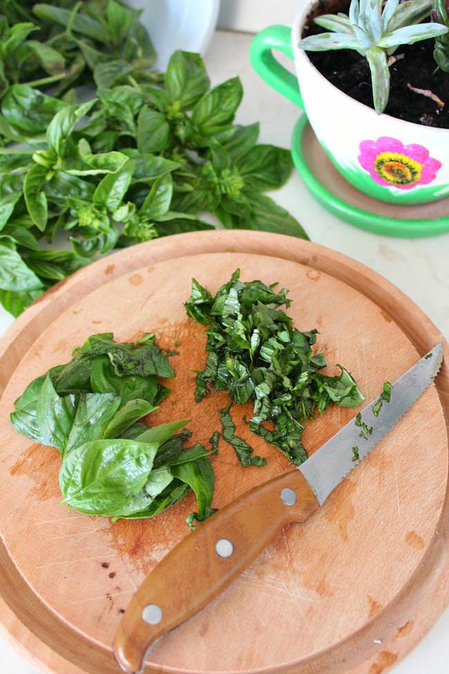 How to store fresh basil in winter Tip Junkie